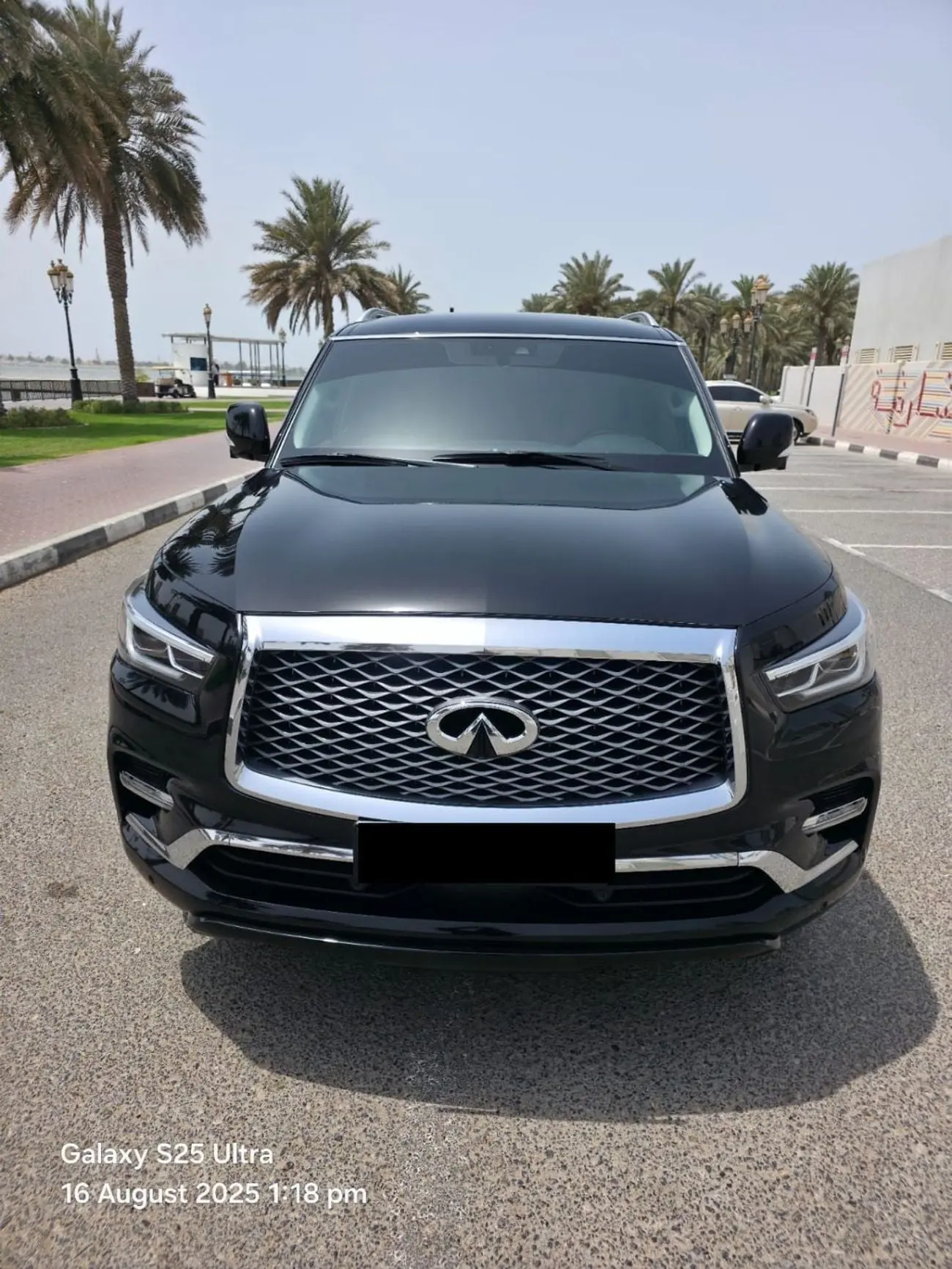 Infiniti QX80 2020