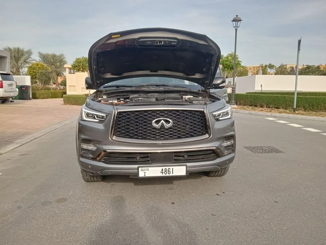 Infiniti QX80 2021