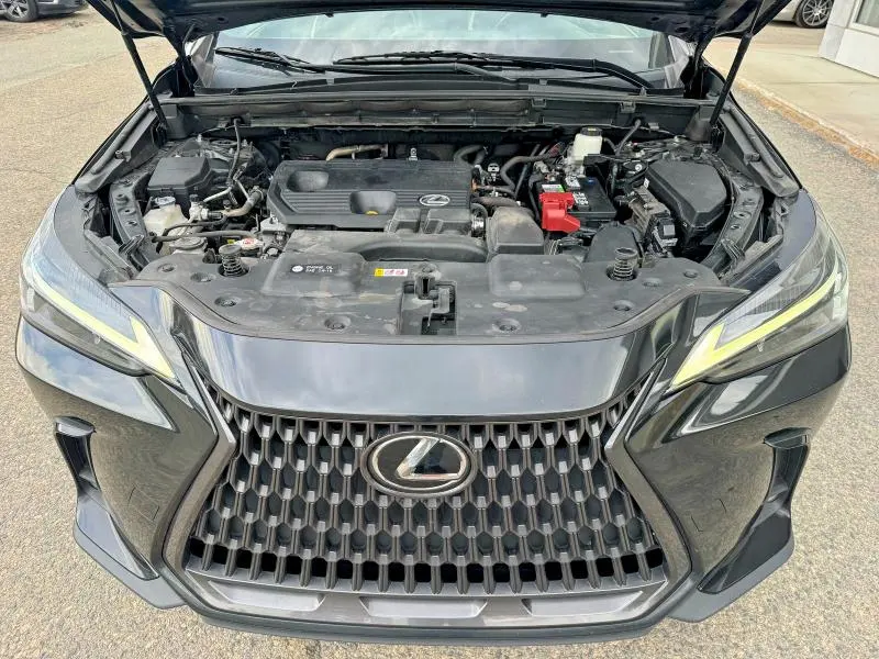 LEXUS NX 2022 VIN JTJADCAZ5N2001984