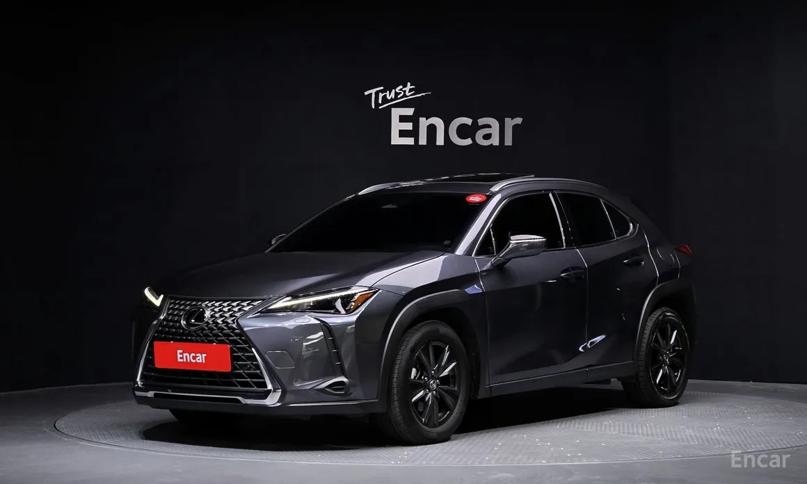 Lexus UX 2024 2.0 2WD