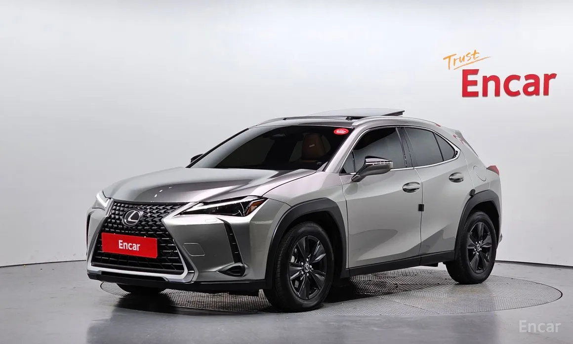 Lexus UX 2024 2.0 2WD