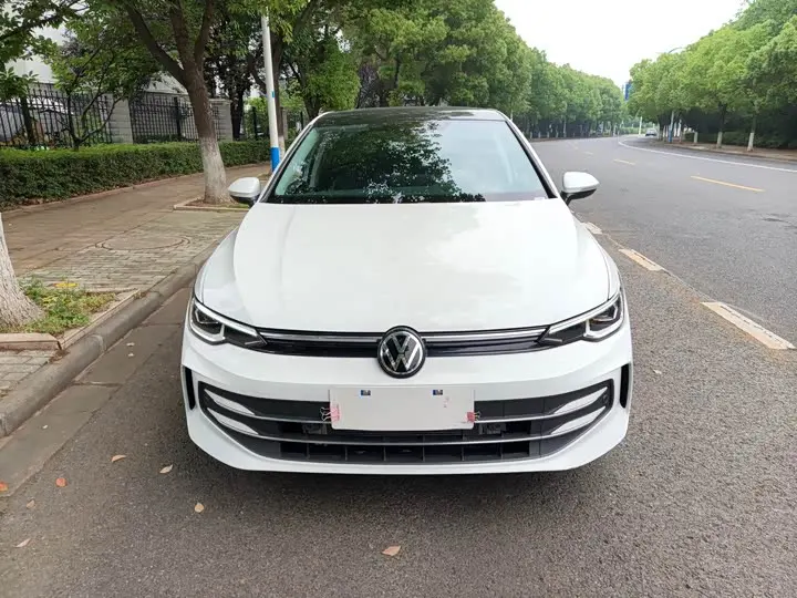 Volkswagen Golf 2025 2025款 300TSI Pro