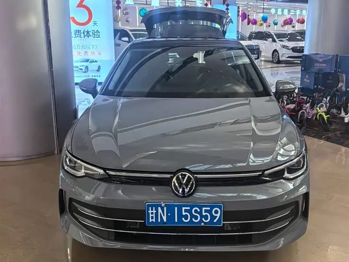 Volkswagen Golf 2025 2025款 300TSI Pro