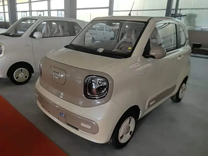 Bestune Pony 2026 2026款 222km 炫彩马