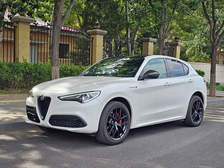 Alfa Romeo Stelvio 2021 2021款 2.0T 280HP Veloce Ti 竞速版