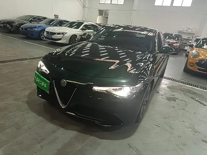Alfa Romeo Giulia 2021 2021款 2.0T 280HP 豪华版