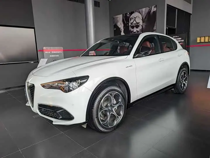 Alfa Romeo Stelvio 2023 2023款 2.0T 280HP Veloce赛道版
