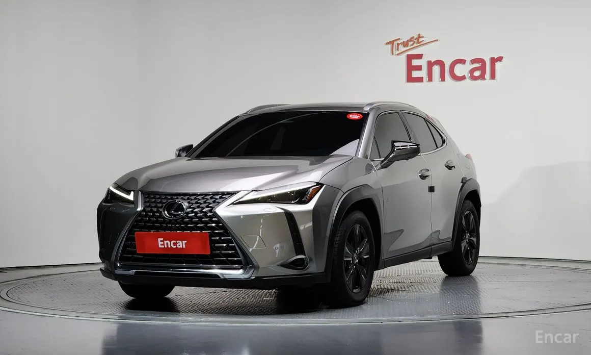 Lexus UX 2024 2.0 2WD