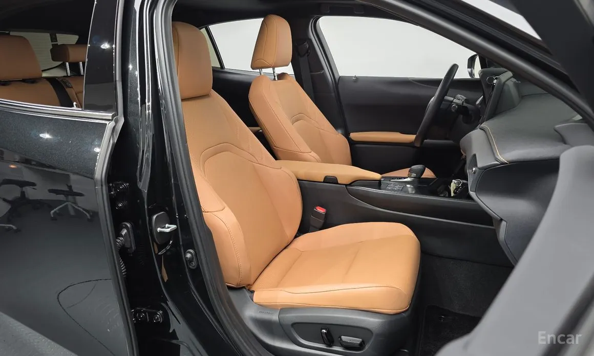 Lexus UX 2024 2.0 2WD