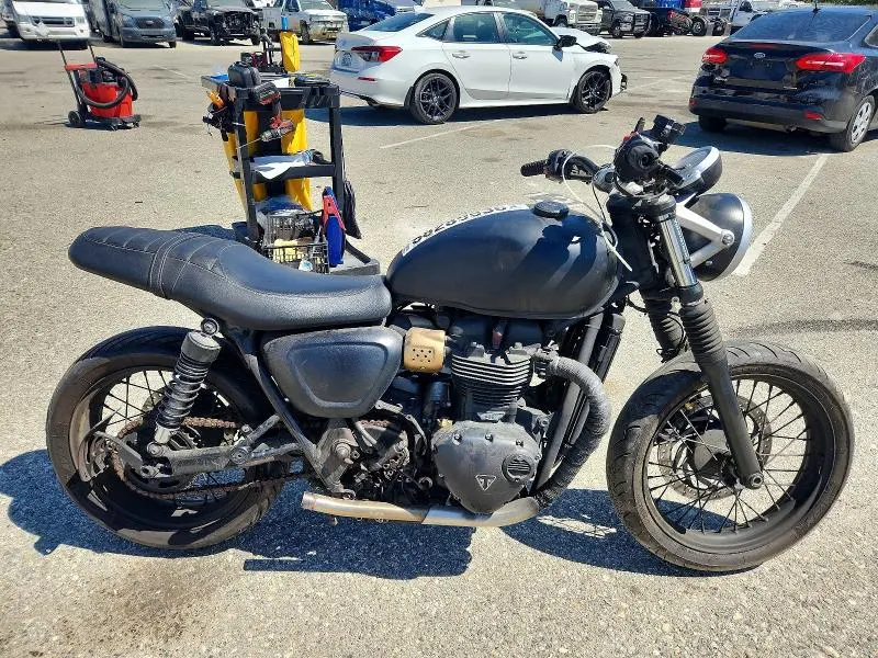TRIUMPH STREET 2016