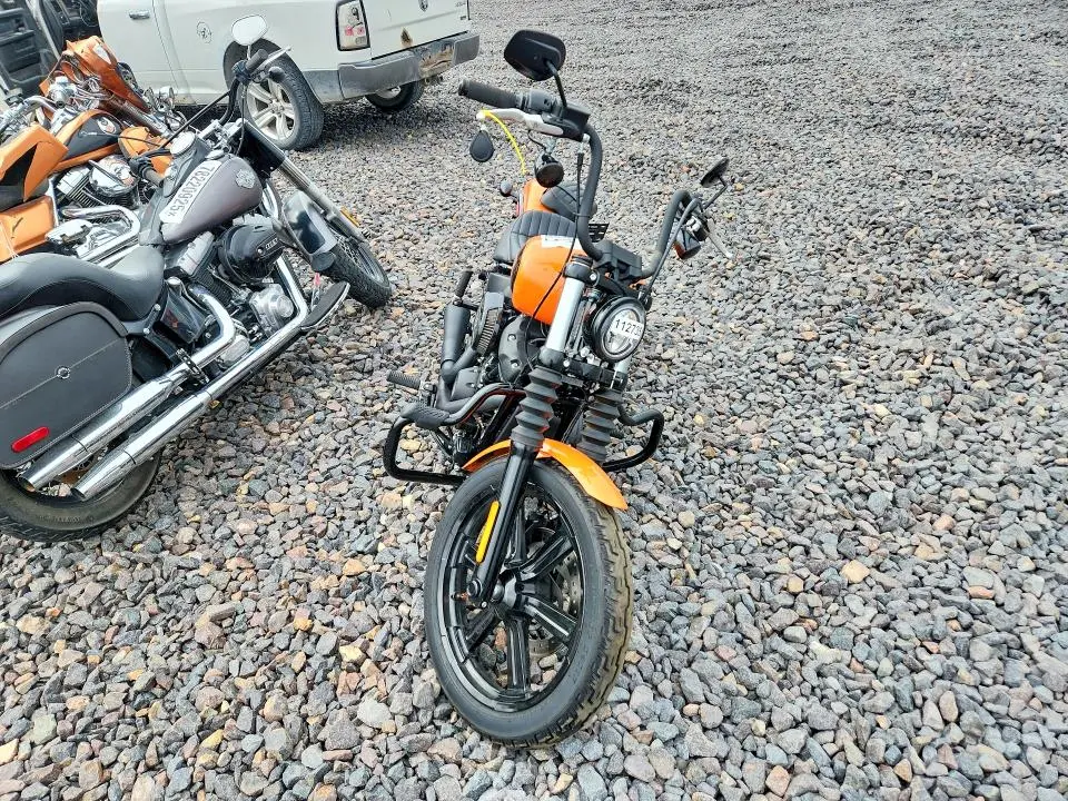 HARLEY-DAVIDSON ALL OTHER 2024