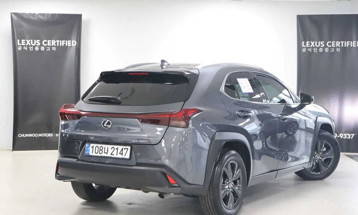 Lexus UX 2024 2.0 2WD