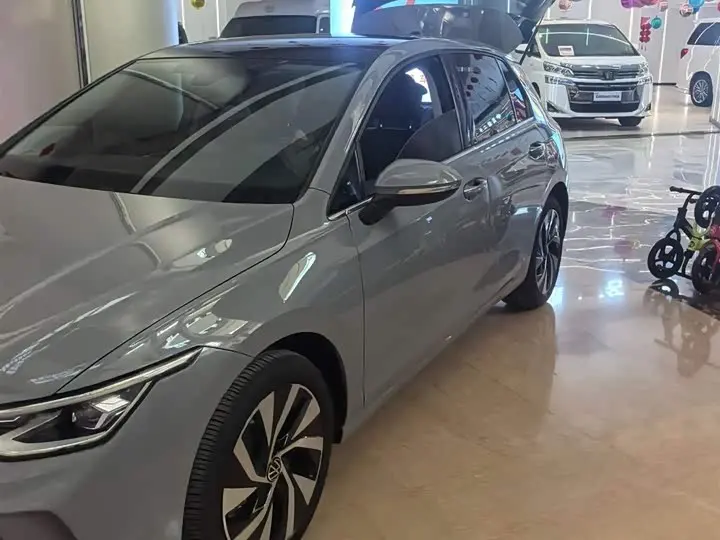 Volkswagen Golf 2025 2025款 300TSI Pro