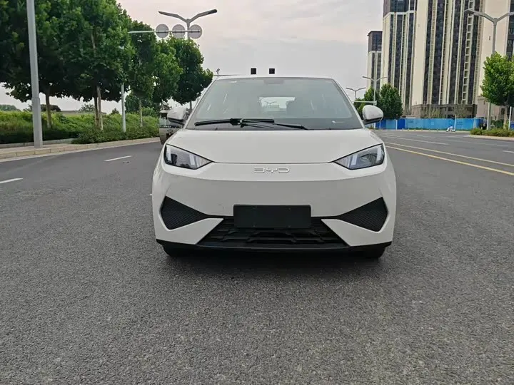 BYD Seagull 2026 2026款 305km 活力版