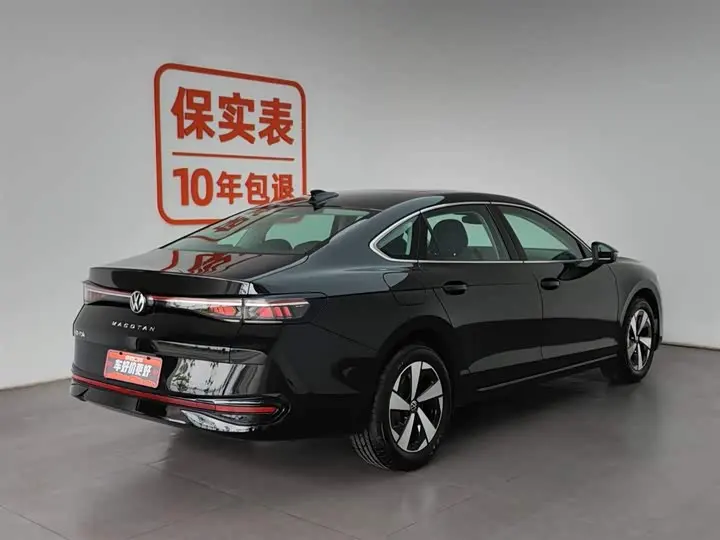 Volkswagen Magotan 2026 2026款 300TSI 尊享版显眼包