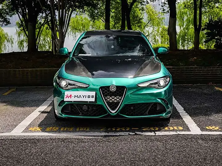Alfa Romeo Giulia 2020 2020款 2.9T 510HP 四叶草版