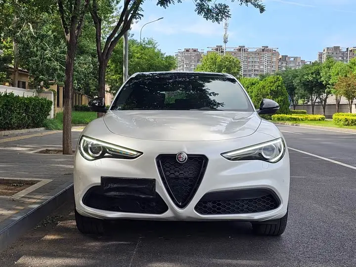 Alfa Romeo Stelvio 2021 2021款 2.0T 280HP Veloce Ti 竞速版
