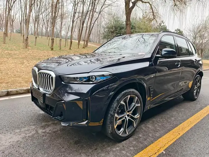 BMW X5 2026 2026款 改款 xDrive 40Li M运动曜夜套装