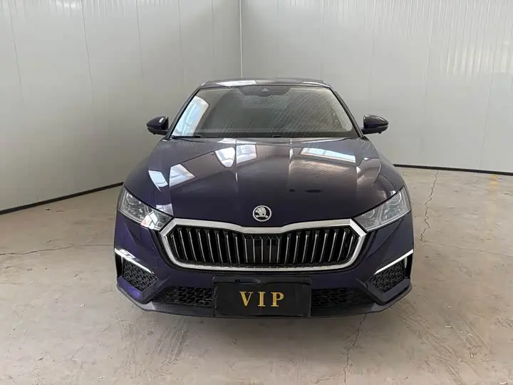 Skoda Octavia Pro 2022 2022款 PRO TSI280 奢享版