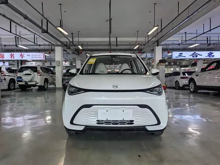 Chery QQ Duomi 2025 2025款 305km 舒享型