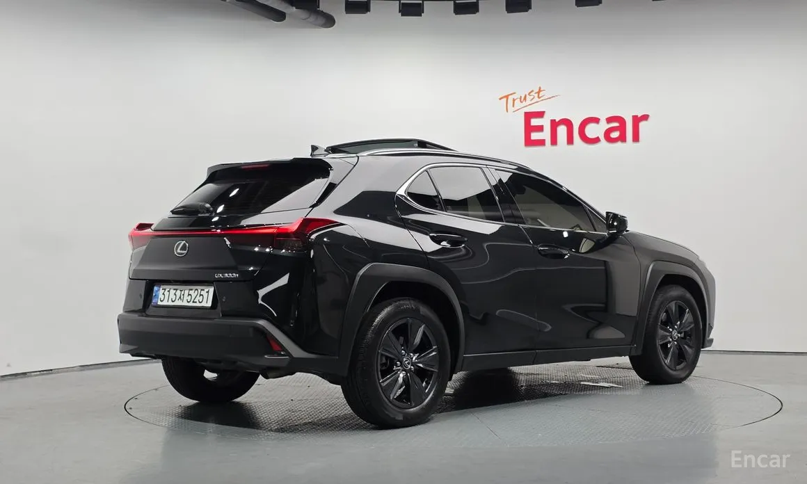 Lexus UX 2024 2.0 2WD