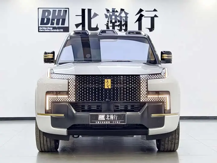 BYD Yangwang U8 2025 2025款 鼎世版