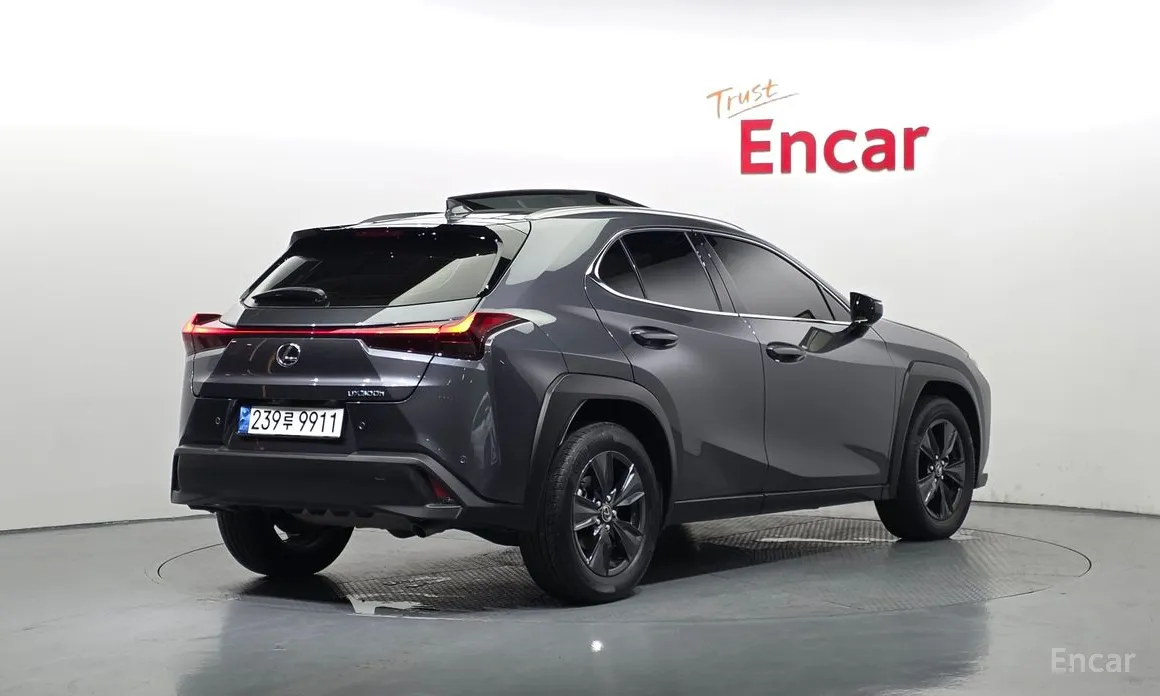 Lexus UX 2024 2.0 2WD