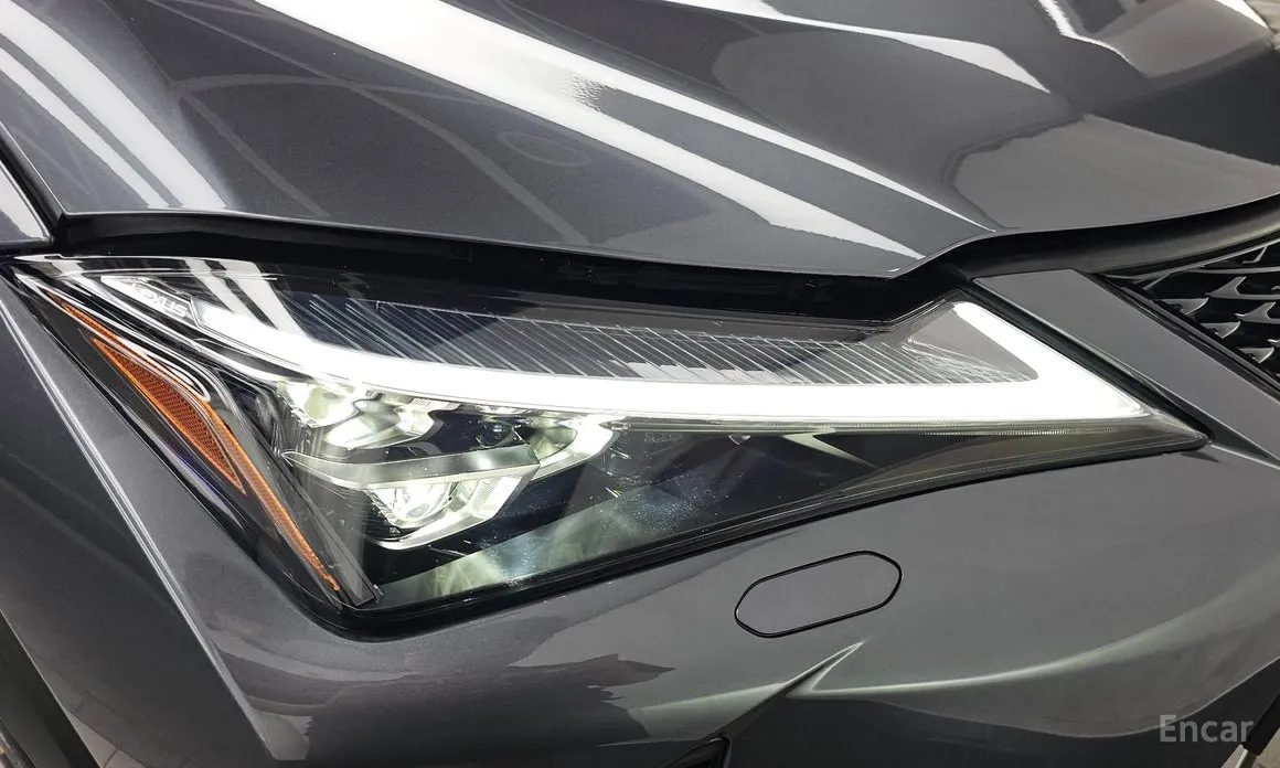 Lexus UX 2024 2.0 F-Sport 2WD