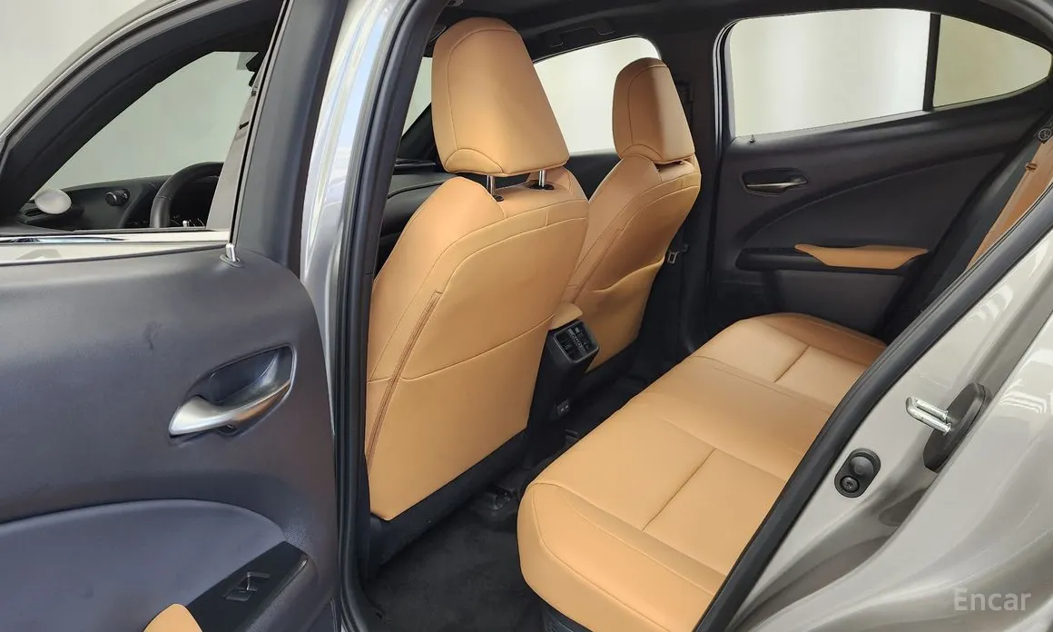 Lexus UX 2024 2.0 2WD