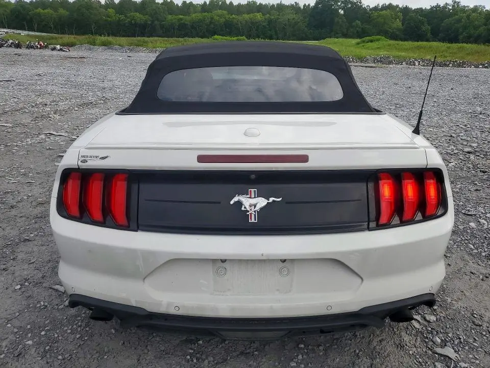 FORD MUSTANG 2019 VIN 1FATP8UH9K5116686