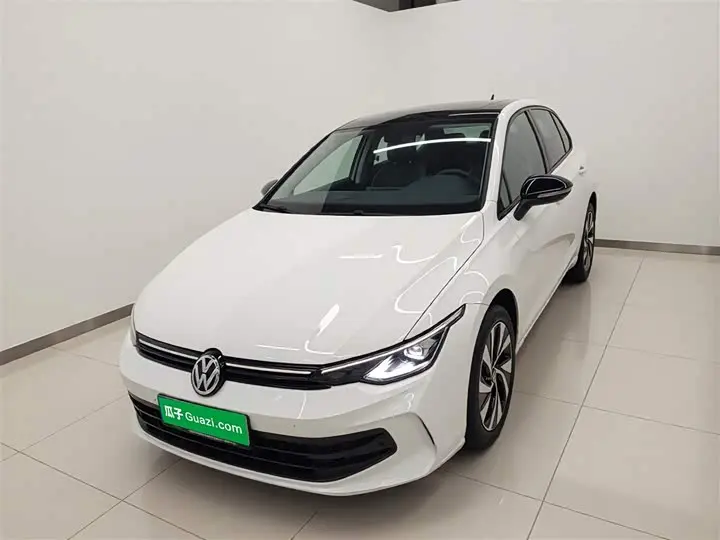 Volkswagen Golf 2025 2025款 改款 300TSI Pro