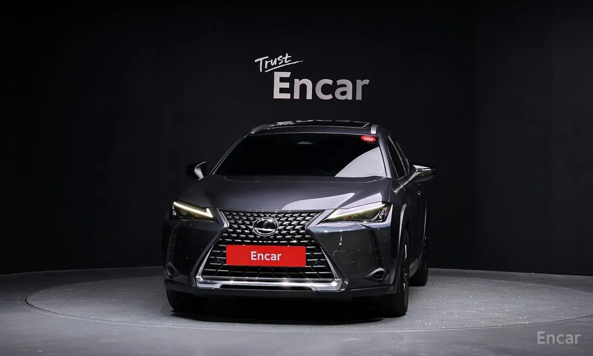 Lexus UX 2024 2.0 2WD
