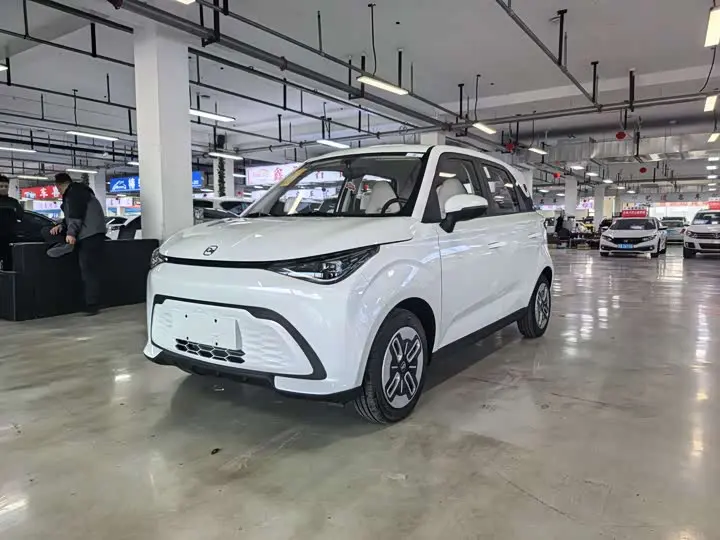 Chery QQ Duomi 2025 2025款 305km 舒享型