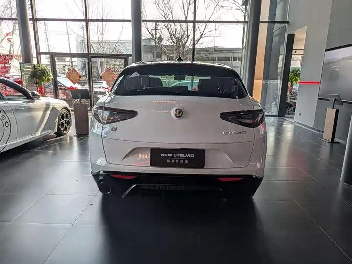 Alfa Romeo Stelvio 2023 2023款 2.0T 280HP Veloce赛道版