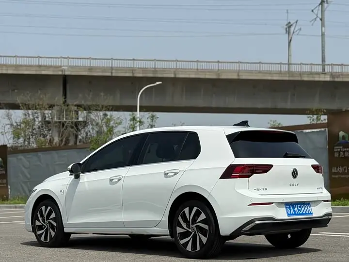 Volkswagen Golf 2025 2025款 改款 300TSI Pro
