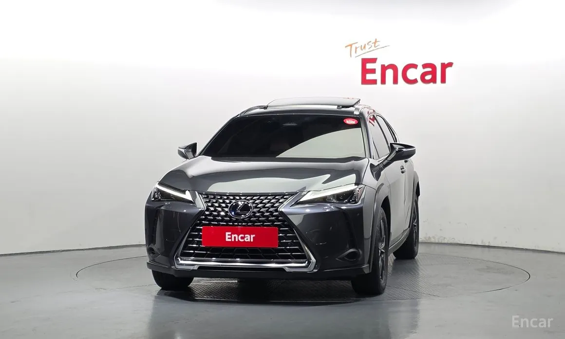 Lexus UX 2024 2.0 2WD