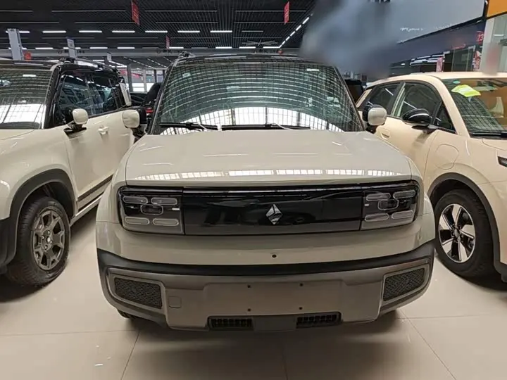 Baojun Yep Plus 2026 2026款 301km旗舰版