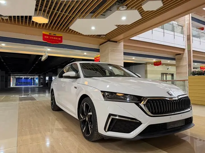 Skoda Octavia Pro 2023 2023款 改款 PRO TSI280 奢享版