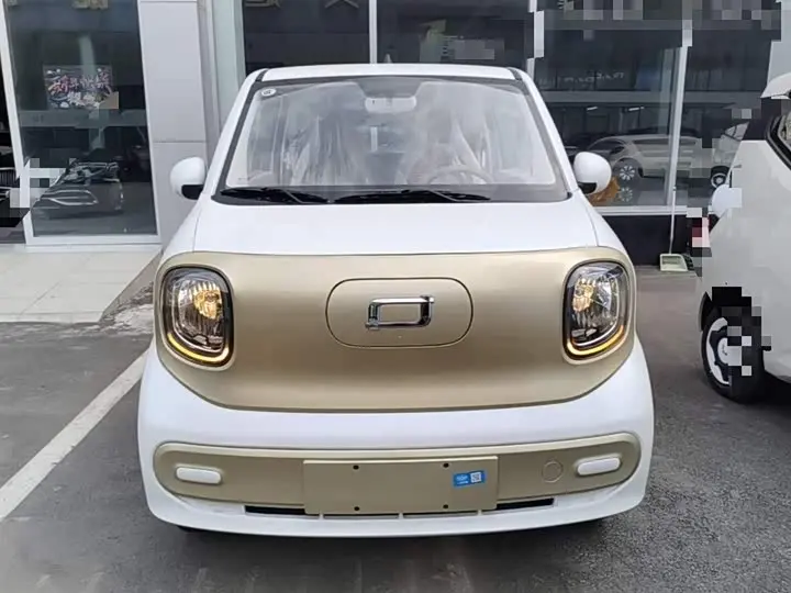 Bestune Pony 2026 2026款 222km 炫彩马