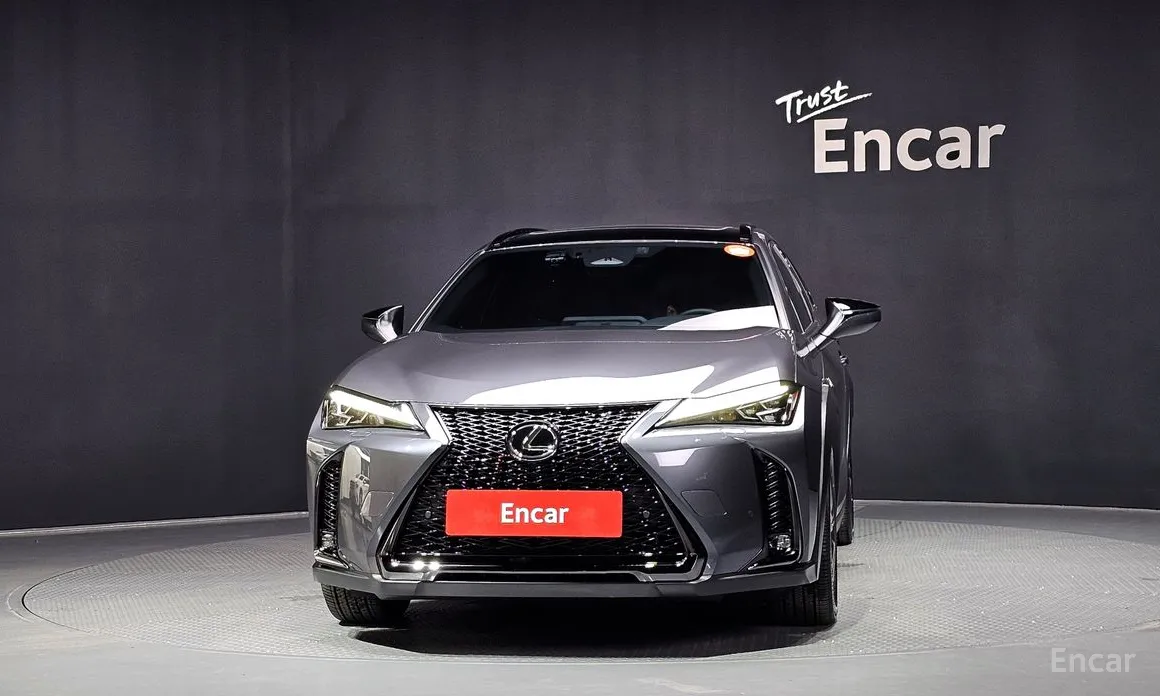 Lexus UX 2024 2.0 F-Sport 2WD