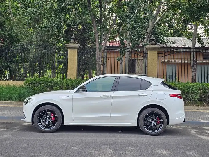 Alfa Romeo Stelvio 2021 2021款 2.0T 280HP Veloce Ti 竞速版