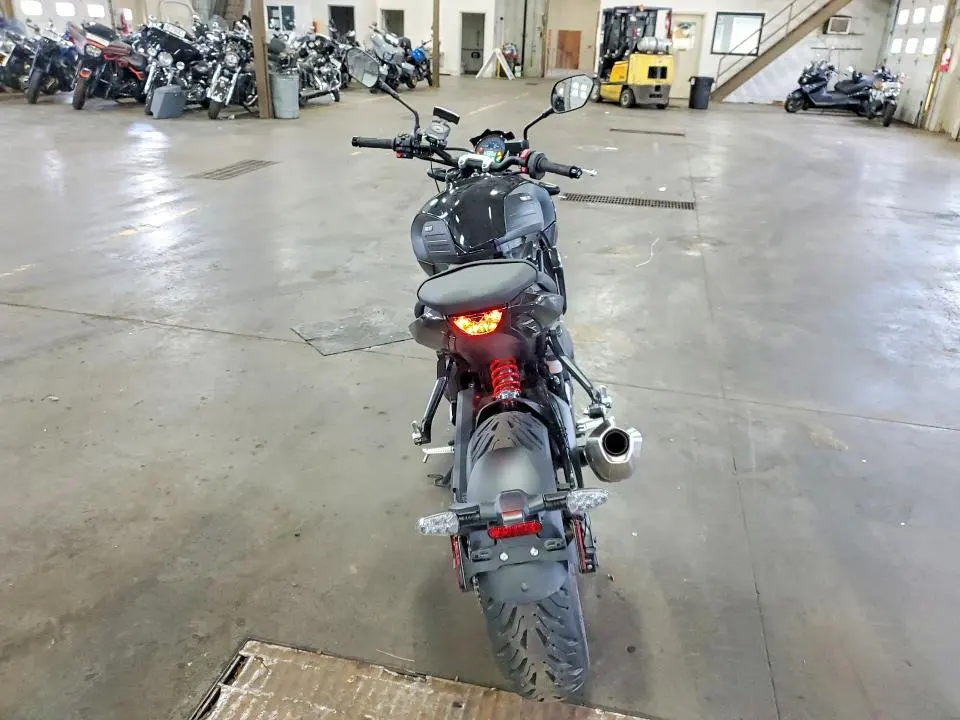 TRIUMPH TRIDENT 90 2026