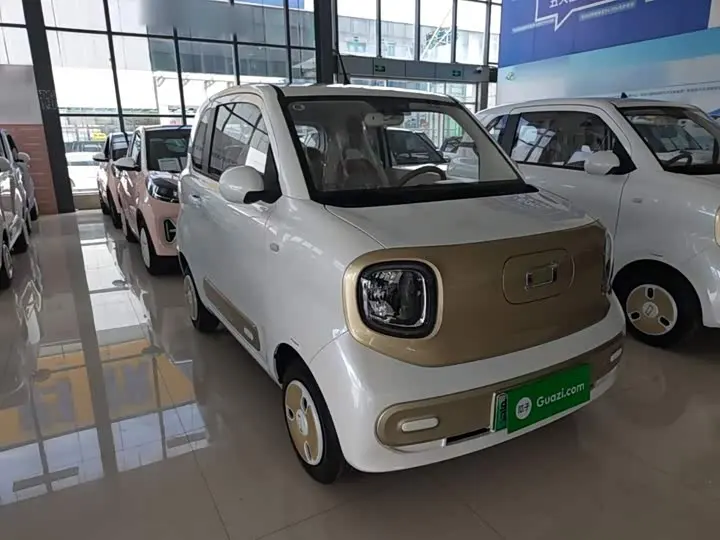 Bestune Pony 2026 2026款 222km 炫彩马