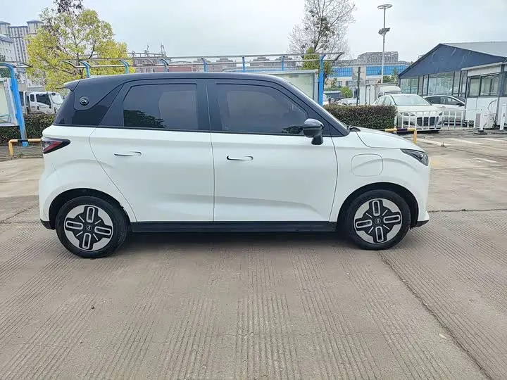 Chery QQ Duomi 2025 2025款 305km 舒享型