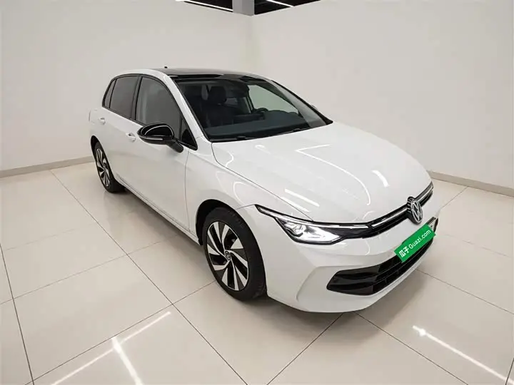 Volkswagen Golf 2025 2025款 改款 300TSI Pro