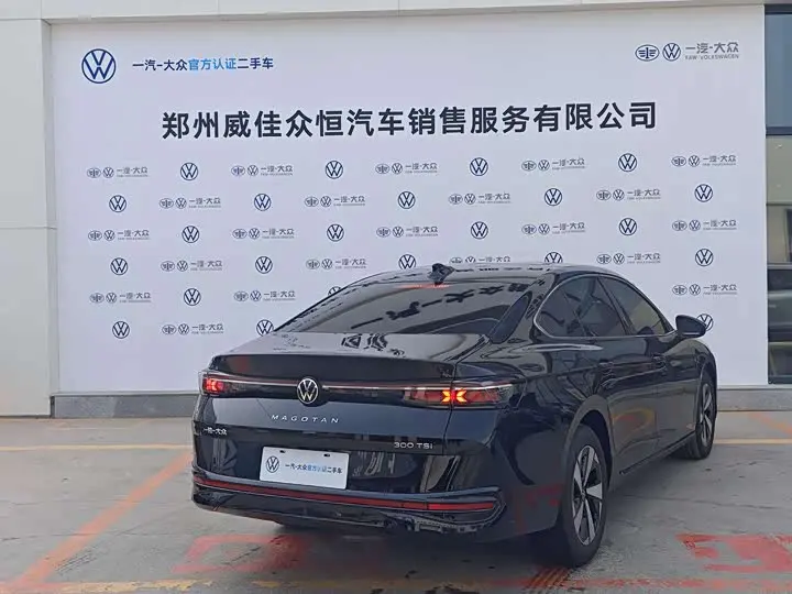 Volkswagen Magotan 2026 2026款 300TSI 尊享版显眼包