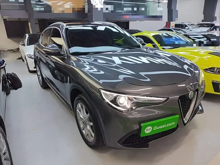 Alfa Romeo Stelvio 2020 2020款 2.0T 280HP 豪华版