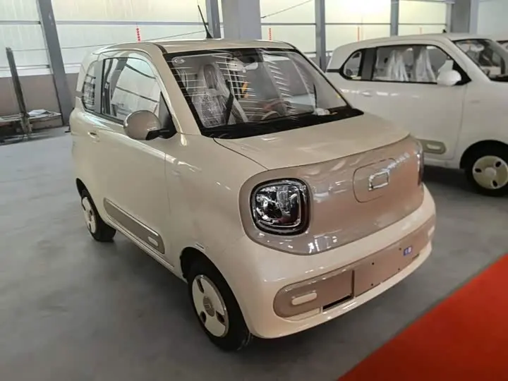 Bestune Pony 2026 2026款 222km 炫彩马