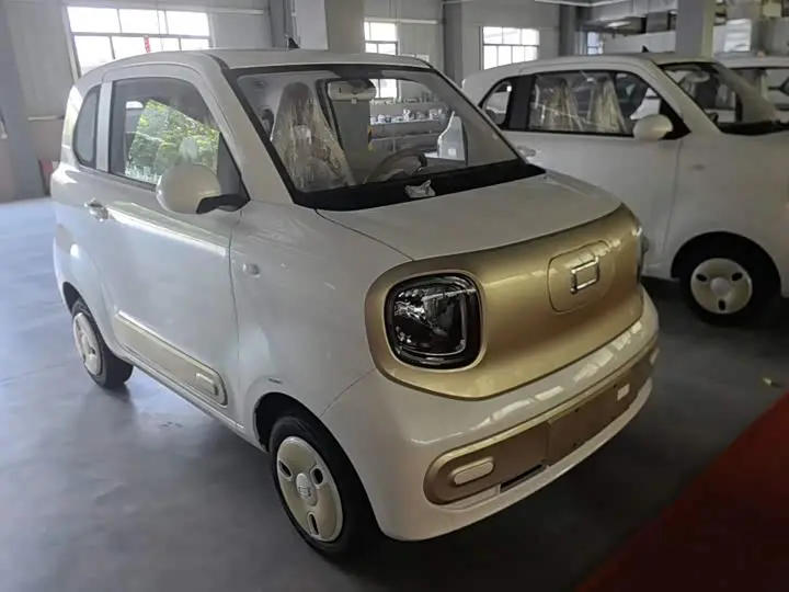 Bestune Pony 2026 2026款 222km 炫彩马