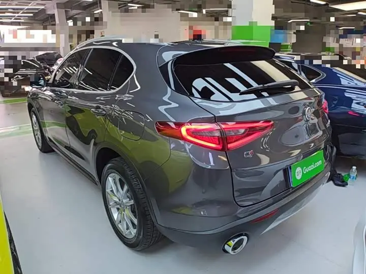 Alfa Romeo Stelvio 2020 2020款 2.0T 280HP 豪华版